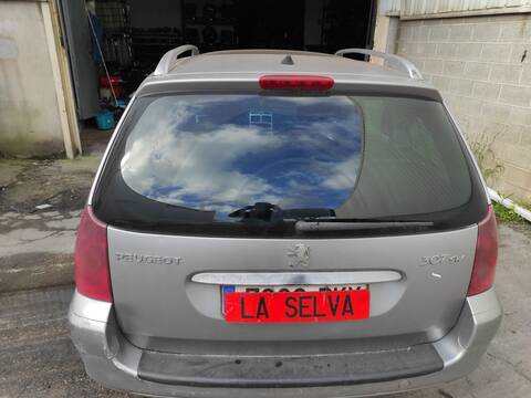 Portón Peugeot 307 9HY