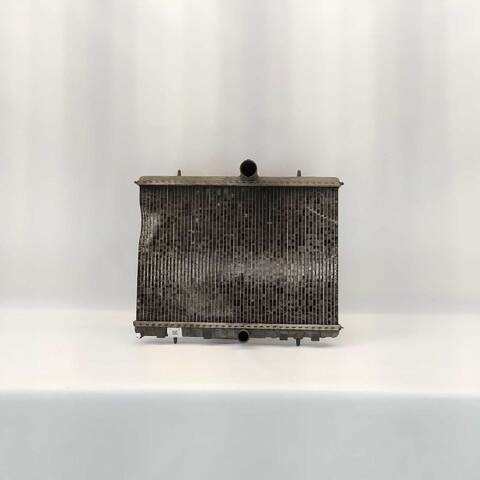 Radiador Motor Peugeot Expert 1.6 HDI 90 16V
