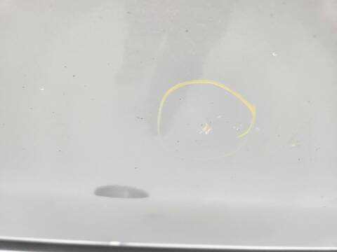 Foto 2ª: Puerta Delantera Izquierda Ford Kuga TITANIUM 136CV 100KW [G6DG] (2008)