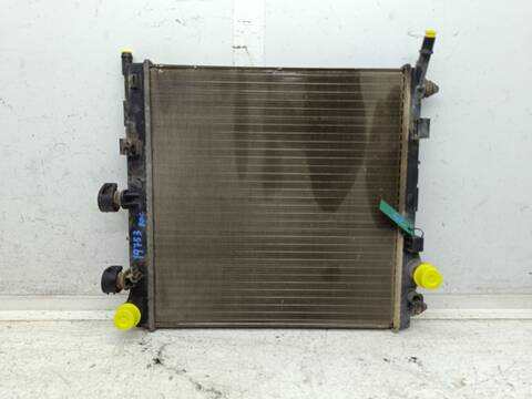 Radiador Motor Citroen C2 AUDACE 60CV 44KW