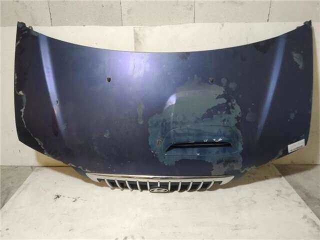 Capot Hyundai H1 2.5 TCI VSX [2.5 LTR. - 73 KW TURBODIESEL]