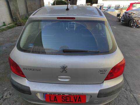 Portón Peugeot 307 9HX BERLINA