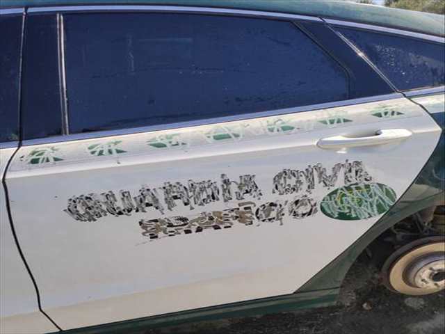 Puerta Trasera Izquierda Ford Mondeo 2014