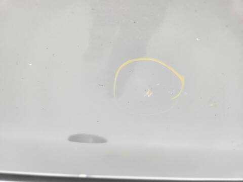 Foto 2ª: Puerta Delantera Izquierda Ford Kuga TITANIUM 136CV 100KW [G6DG] (2008)