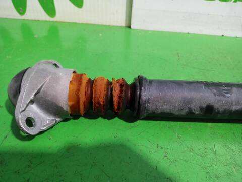 Foto 3ª: Amortiguador Trasero Izquierdo Seat Ibiza EMOCION 60CV [CGPB] (2008)