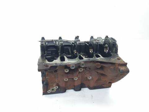 Foto 3ª: Bloque Motor Renault Kangoo PROFESIONAL (2008)