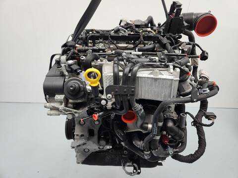 Motor Completo Volkswagen Tiguan ADVANCE 4MOTION BMT 150CV 110KW