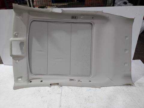 Techo Interior Nissan Qashqai ACENTA 116CV 85KW