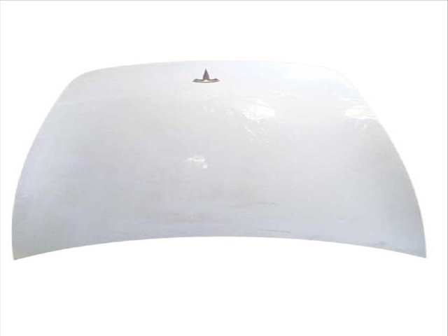 Capot Tesla Model 3 EV