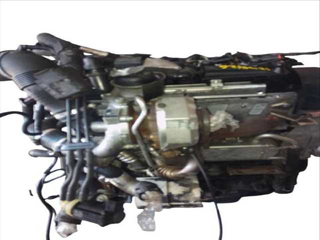 Foto 3ª: Motor Completo Volkswagen Polo 1.6 TDI (2009)