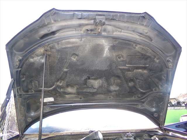 Foto 2ª: Capot Audi A3 2.0 TDI MODELO 8P,2004-2008 [BKD] (2005)