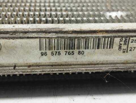 Foto 4ª: Radiador Motor Citroen C4 LX BERLINA 90CV 66KW [9HX] (2009)