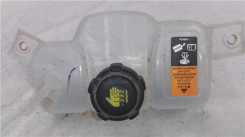 Deposito Expansion Nissan Qashqai 1.5 DCI 116CV 85KW