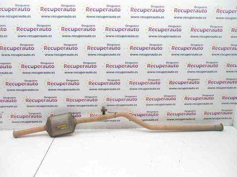 Catalizador Citroen Berlingo WJY
