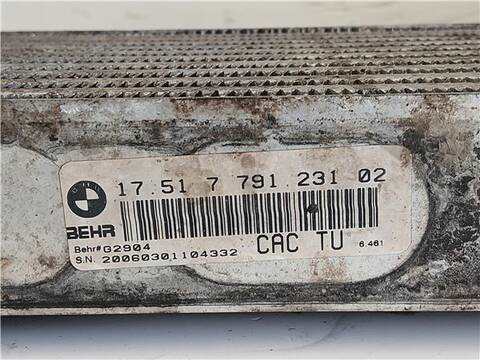Foto 3ª: Intercooler Bmw X5 3.0 D E53 [M57 D30 (306D2)] (2004)