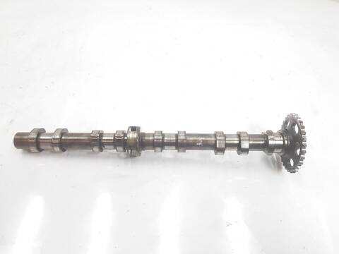 Foto 3ª: Arbol de Levas Mercedes Clase A 140 A 200 CDI BLUEEFFICIENCY 176.001) (2014)