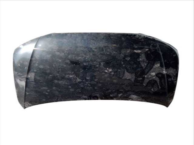 Capot Audi A4 2.0 TDI