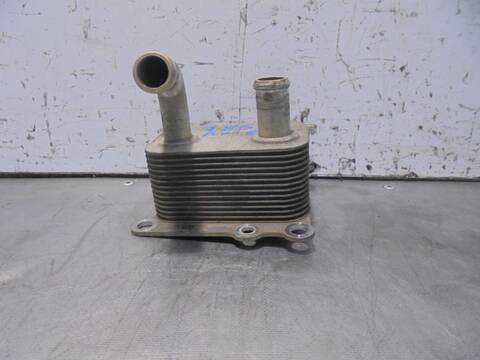 Foto 3ª: Radiador Aceite Ford Focus AMBIENTE BERLINA 90CV 66KW [C9DA] (2000)