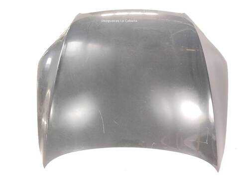Foto 3ª: Capot Audi Q7 4.2 TDI QUATTRO [BTR] (2006)