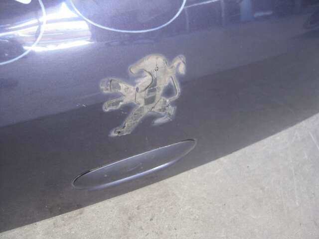 Foto 3ª: Portón Peugeot 307 1.6 HDI (2003)