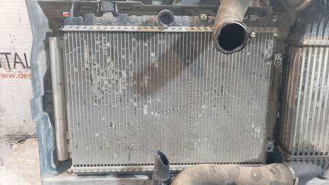 Foto 4ª: Radiador Motor Peugeot 807 SV 136CV 100KW [RHRDW10BTED4] (2006)