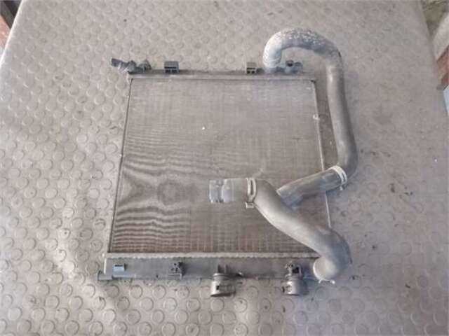 Radiador Motor Citroen C3 1.4 VIVACE [1.4 LTR. - 54 KW]