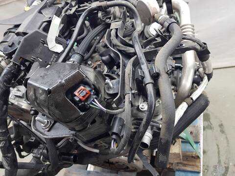 Foto 3ª: Motor Completo Ford Transit AMBIENTE (2013)