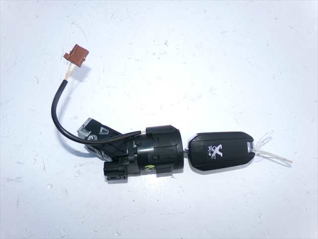 Antirrobo Peugeot 2008 1.2 G 2019-2023