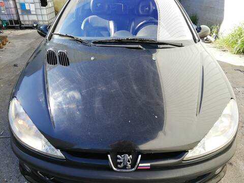 Foto 1ª: Capot Peugeot 206 RFN (2002)