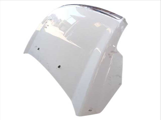 Foto 2ª: Capot Ford Focus 1.6 TDCI (2004)