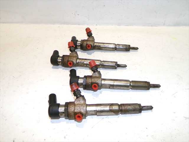Foto 3ª: Inyectores Ford Focus 1.8 TDCI 2008-2011 [KKDA] (2009)