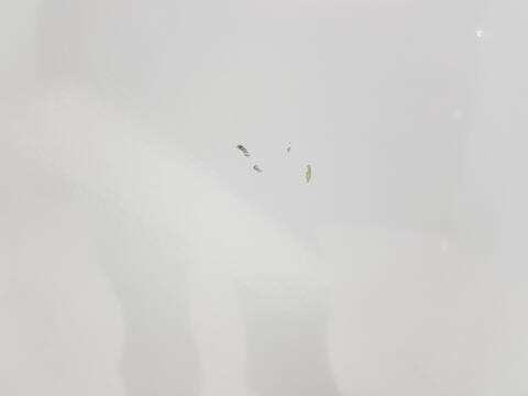 Foto 3ª: Puerta Delantera Izquierda Renault Trafic 1.6 DCI D 90CV [R9M408] (2014)