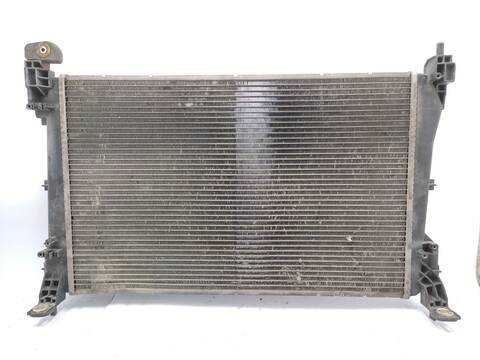 Foto 3ª: Radiador Motor Fiat Grande Punto 1.3 D MULTIJET 75CV 55KW [199A2000] (2010)