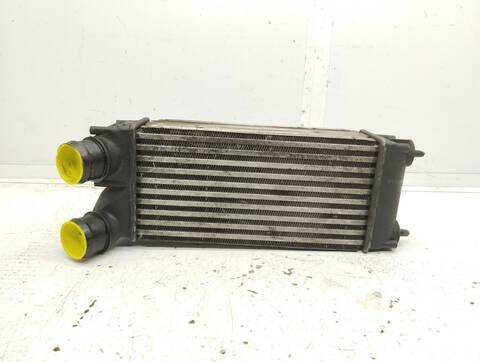 Intercooler Peugeot 3008 PREMIUM 109CV 80KW