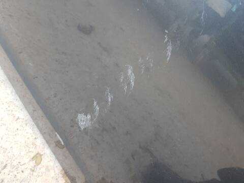 Foto 2ª: Puerta Trasera Izquierda Honda Insight 1.3 IMA ZE28 ZE2) 88CV 65KW [LDA3] (2012)