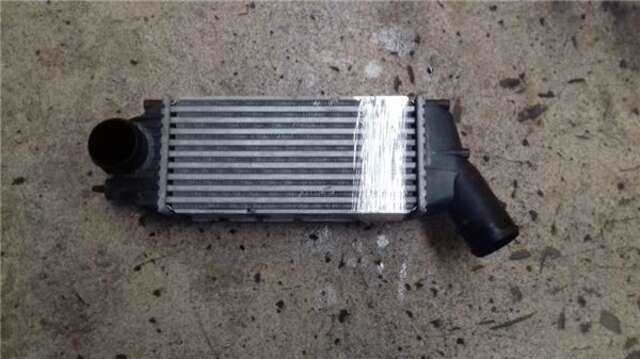 Intercooler Citroen C4 1.6 VTR PLUS [1.6 LTR. - 80 KW HDI CAT (9HY - DV6TED4)]