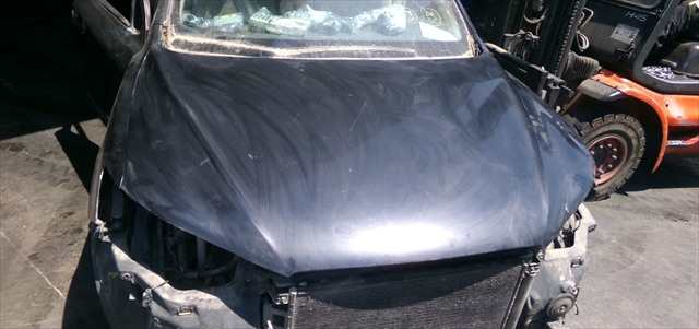 Foto 2ª: Capot Hyundai Santa Fe 2.2 CRDI 2006-2009 [D4EB] (2006)