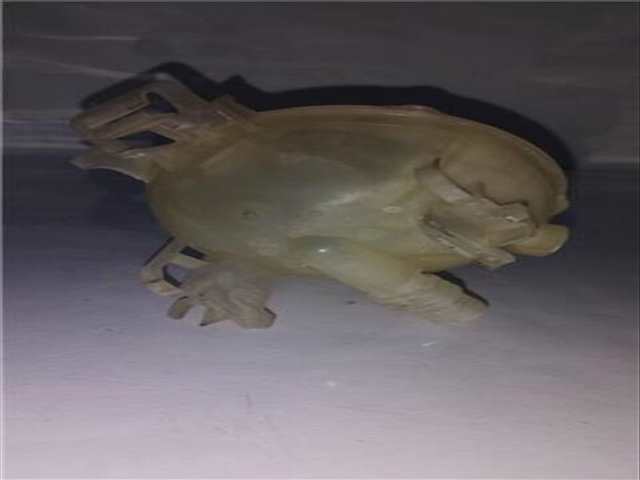 Foto 3ª: Deposito Expansion Citroen C4 PICASSO