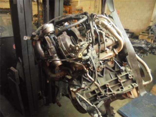Radiador Aceite Suzuki Grand Vitara 1.9 DDIS JLX (5-PTAS.) [1.9 LTR. - 95 KW DDIS TURBODIESEL]