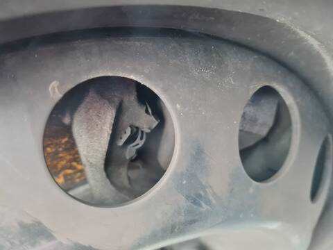 Pinza Freno Delantera Derecho Peugeot Rifter ACTIVE NAV STANDARD 102CV 75KW