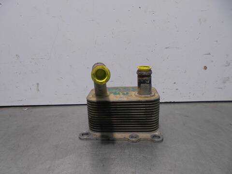 Foto 2ª: Radiador Aceite Ford Focus AMBIENTE BERLINA 75CV 55KW [BHDA] (2001)