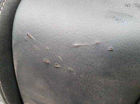 Foto 3ª: Asientos Traseros Mercedes Clase C 160 C 63 AMG 205.386) COUPE 476CV 350KW [177980] (2016)