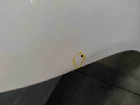 Puerta Trasera Derecha Mazda 6 150 CV 110KW