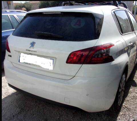 Portón Peugeot 308 HNS