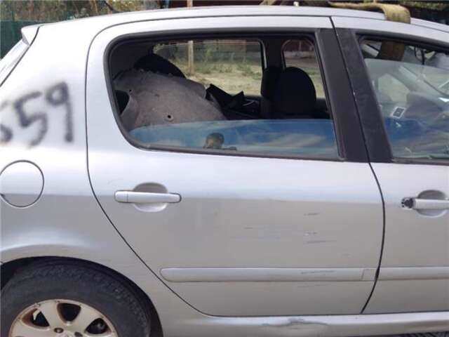 Puerta Trasera Derecha Peugeot 307 1.6 16V