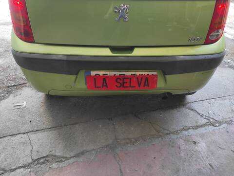 Paragolpes Trasero Peugeot 1007 8HZ