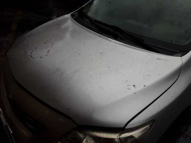 Foto 2ª: Capot Toyota Corolla 2.000 D4D 126CV/93KW 0CV [1AD-FTV] (2009)