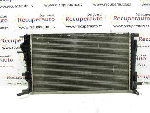 Foto 3ª: Radiador Motor Renault Megane F9Q872 BERLINA III BERLINA 5P (2009)