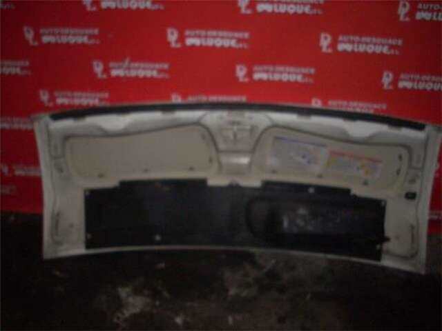 Foto 3ª: Capot Citroen Jumper 2.2HDI [4HU]