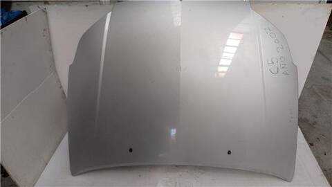 Capot Citroen C5 2.0 COLLECTION [2 0 LTR. - 100 KW HDI FAP CAT RHR - DW10BTED4)] BERLINA 136CV